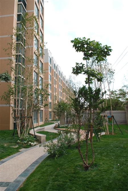 zoty中欧嘉园二期局部景观雏形鉴赏（亲景实拍）